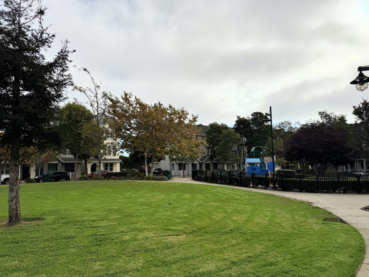 A lawn and playground within the Richmond Transit Village housing.